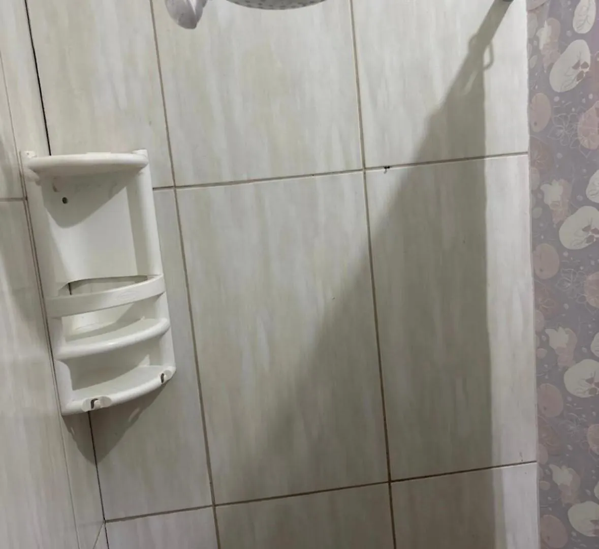 Casa Aconchegante, Com 2 Quartos, 2 Ar-Condicionado, Regiao De Sp Sao Paulo, Jd Zoologico, Expo Sao Paulo, Anchieta, Abcd 0*,  Brasil